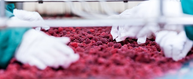 Food Contaminant Inspection